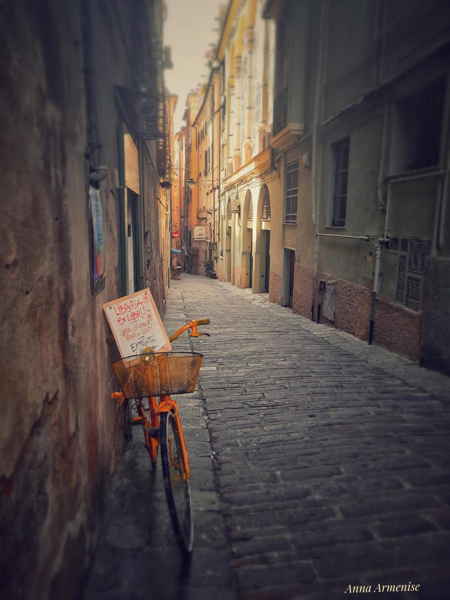 Dai Forti Lanterna
